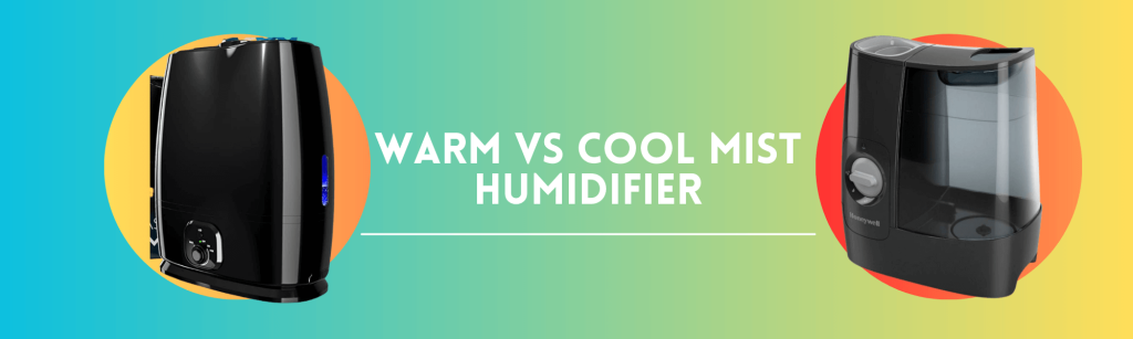 Warm Vs Cool Mist Humidifier Which One is Best? | 20 Differences